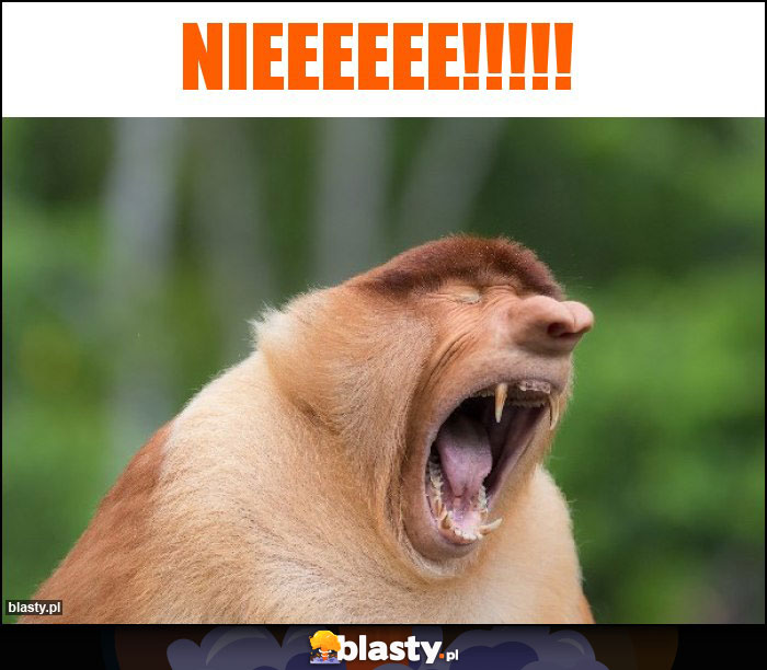 NIEEEEEE!!!!! NIEEEEEE!!!!!