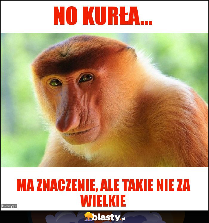 No kurła...