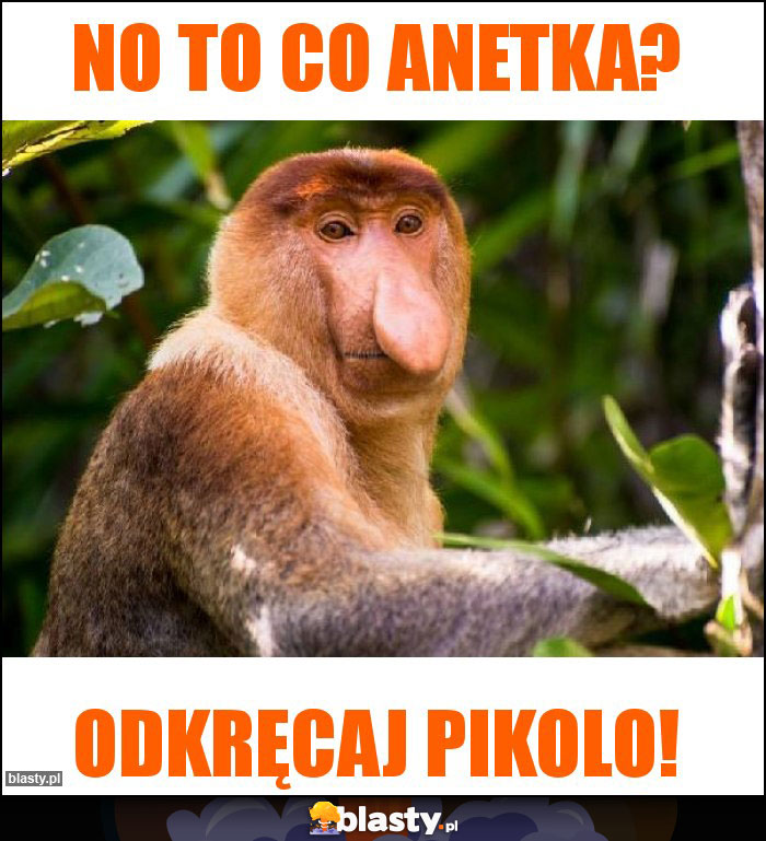 No to co Anetka? No to co Anetka?