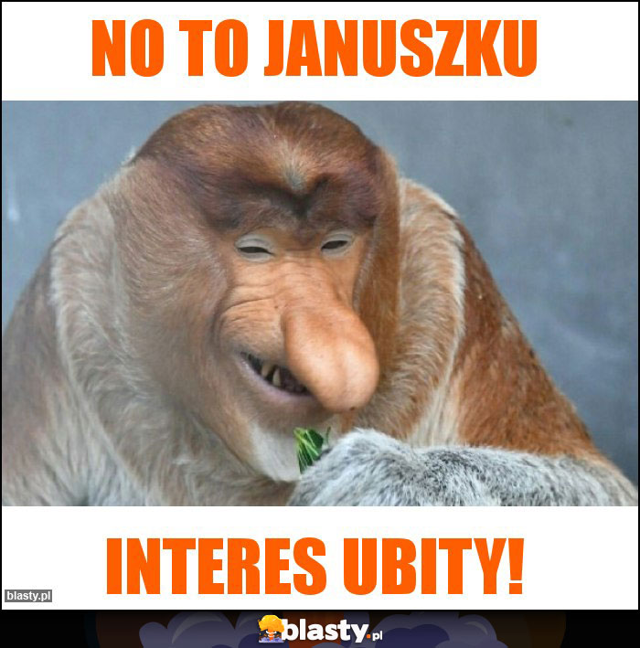 No to Januszku No to Januszku