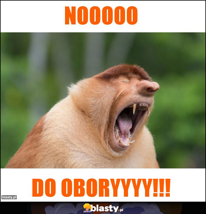 Nooooo