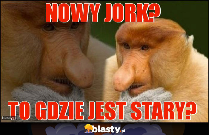 Nowy Jork? Nowy Jork?