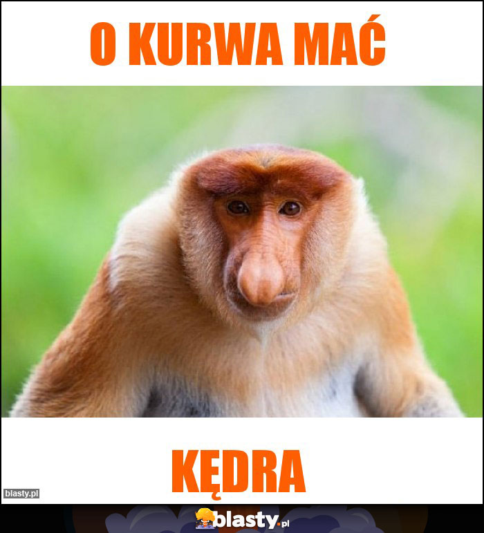 O KURWA MAĆ O KURWA MAĆ