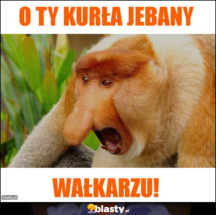 o ty KURła jebany o ty KURła jebany