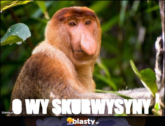 O wy skurwysyny O wy skurwysyny