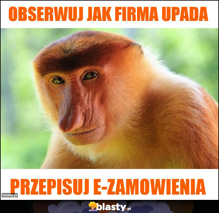 Obserwuj jak firma upada Obserwuj jak firma upada