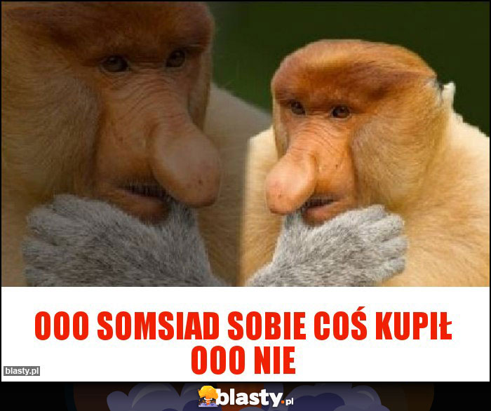 Ooo somsiad sobie coś kupił ooo nie Ooo somsiad sobie coś kupił ooo nie