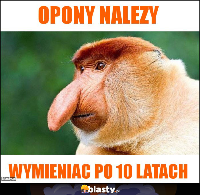 Opony nalezy Opony nalezy