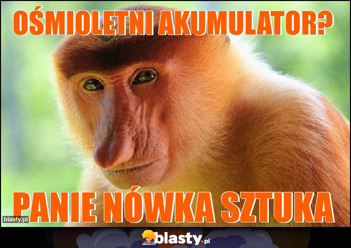 Ośmioletni akumulator? Ośmioletni akumulator?
