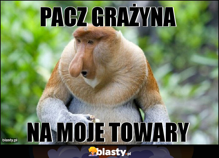 PACZ GRAŻYNA PACZ GRAŻYNA