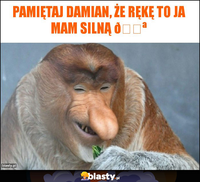 PAMIĘTAJ DAMIAN, ŻE RĘKĘ TO JA MAM SILNĄ PAMIĘTAJ DAMIAN, ŻE RĘKĘ TO JA MAM SILNĄ