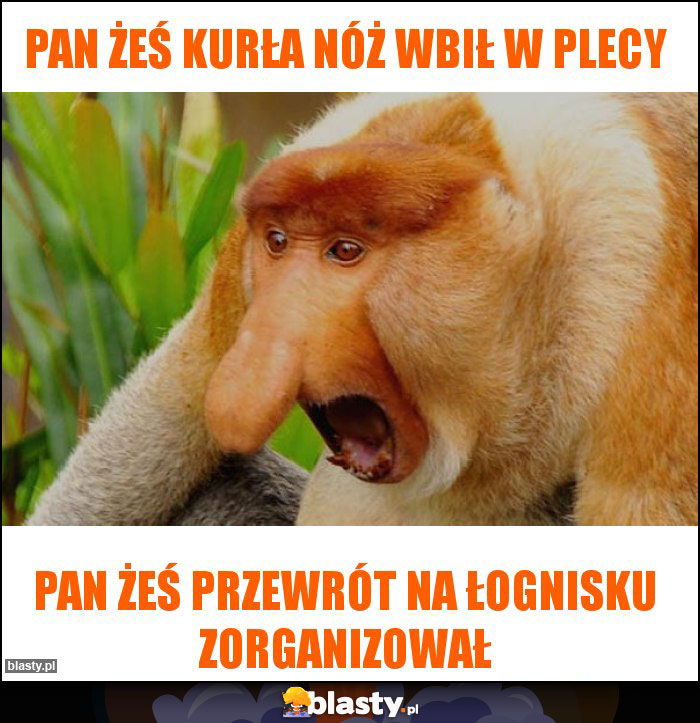 Pan żeś kurła nóż wbił w plecy