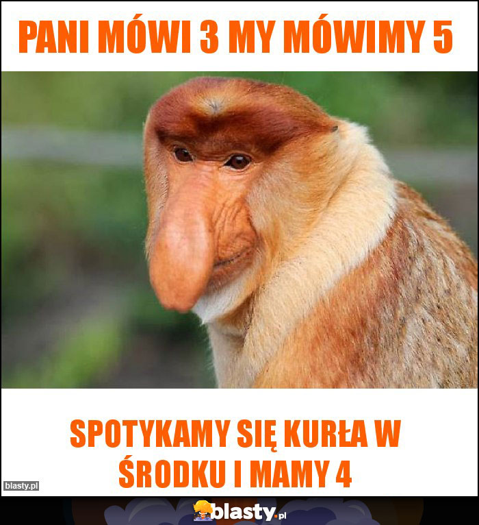 Pani mówi 3 my mówimy 5 Pani mówi 3 my mówimy 5