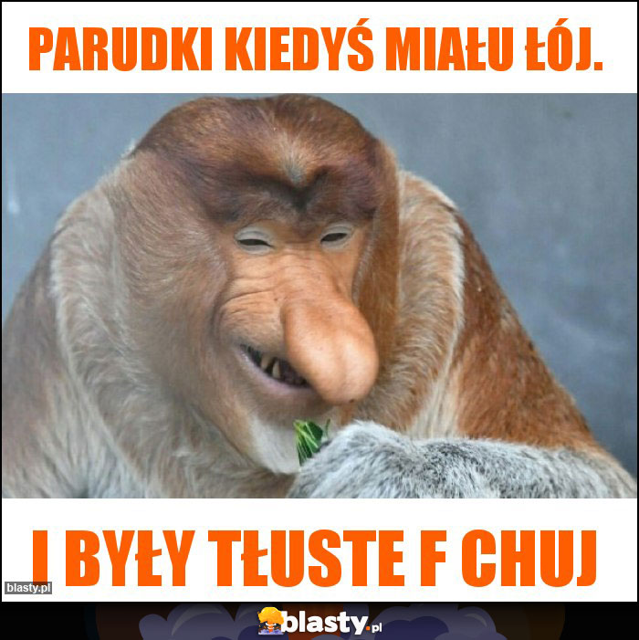 Parudki kiedyś miału łój. Parudki kiedyś miału łój.