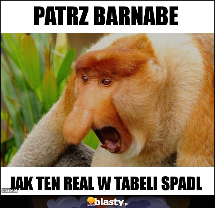 Patrz Barnabe Patrz Barnabe