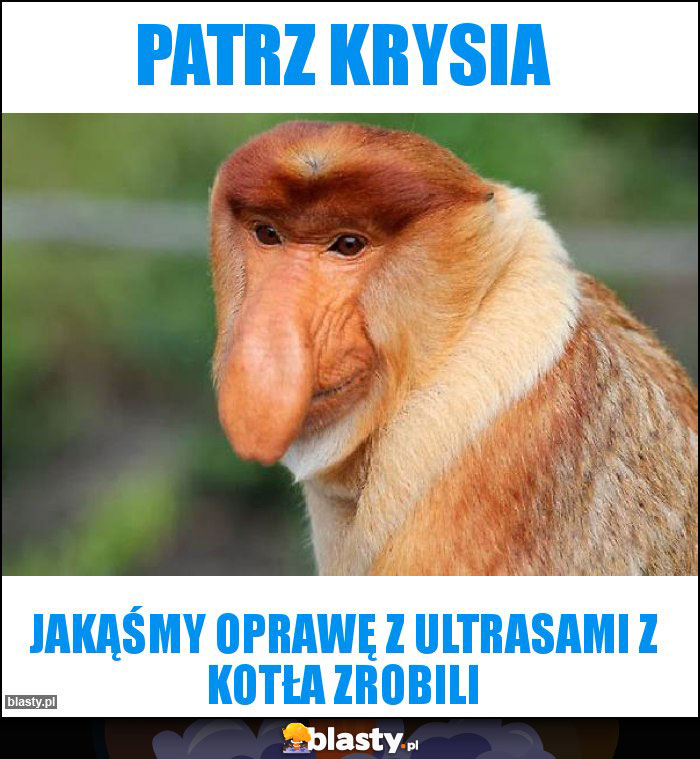 Patrz Krysia Patrz Krysia