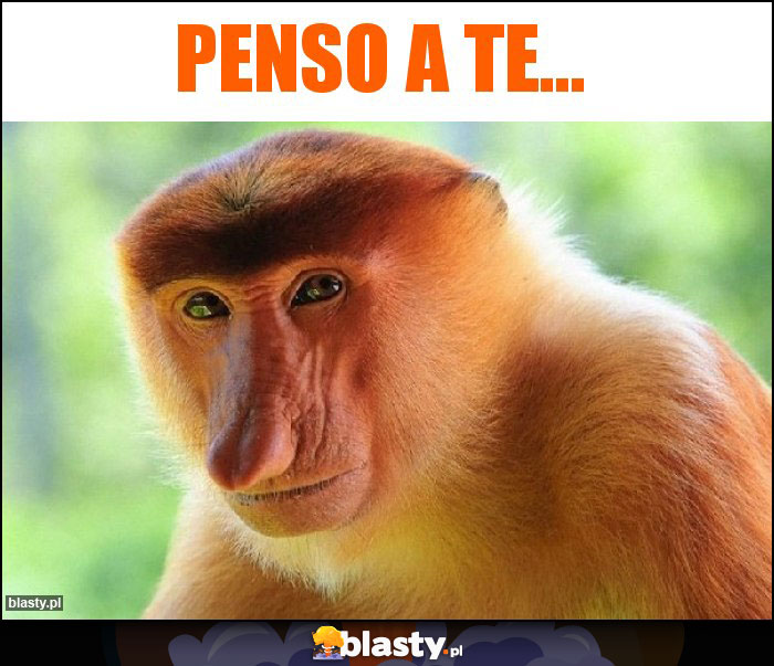 Penso a Te... Penso a Te...