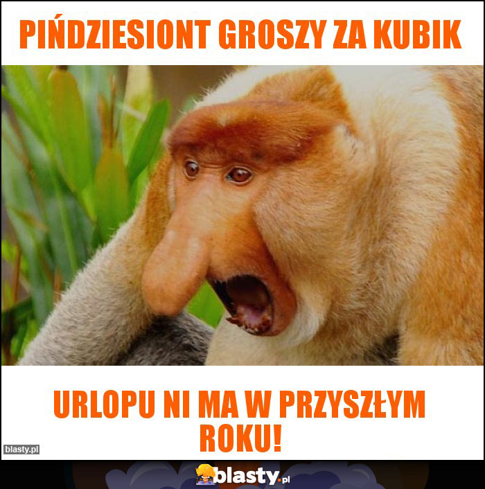 pińdziesiont groszy za kubik pińdziesiont groszy za kubik