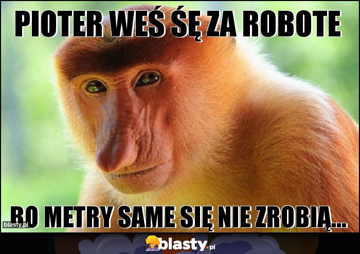 Pioter weś śę za robote Pioter weś śę za robote