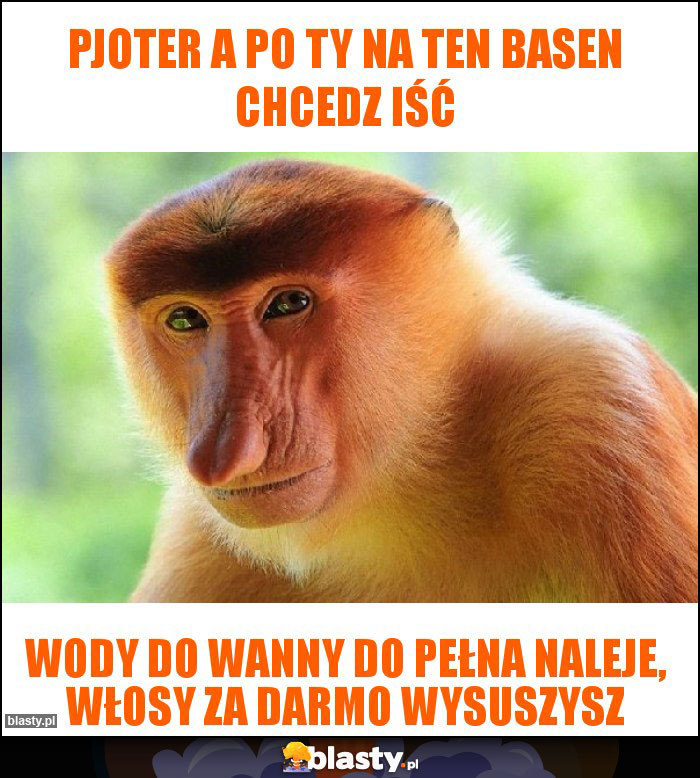 Pjoter a po ty na ten basen chcedz iść Pjoter a po ty na ten basen chcedz iść