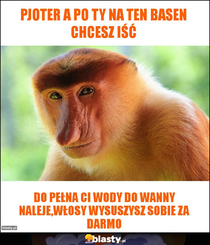 Pjoter a po ty na ten basen chcesz iść Pjoter a po ty na ten basen chcesz iść