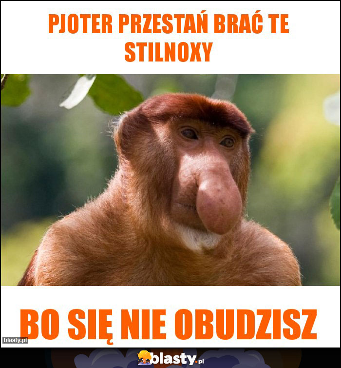 Pjoter Przestań brać te stilnoxy Pjoter Przestań brać te stilnoxy