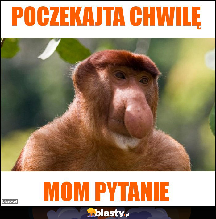 Poczekajta chwilę Poczekajta chwilę