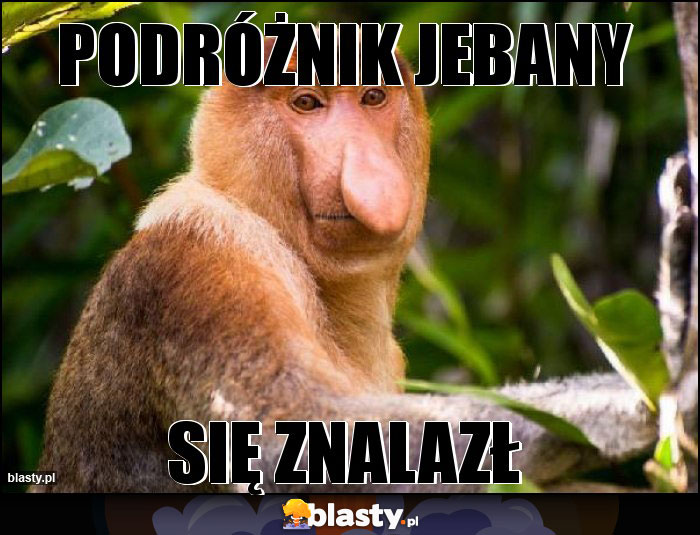 PODRÓŻNIK JEBANY PODRÓŻNIK JEBANY