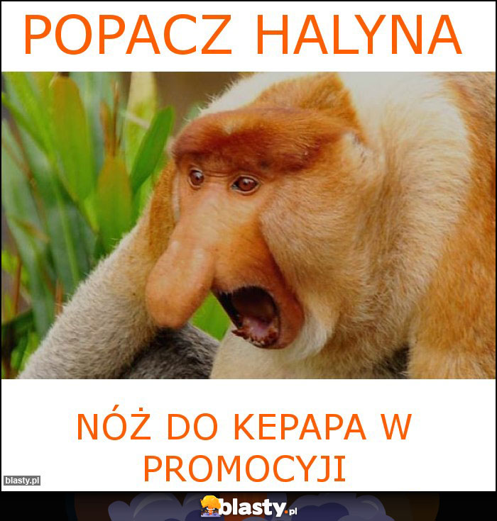 POPACZ HALYNA POPACZ HALYNA