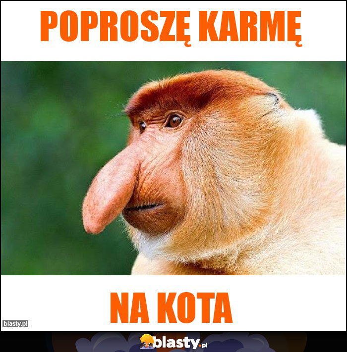 Poproszę karmę Poproszę karmę