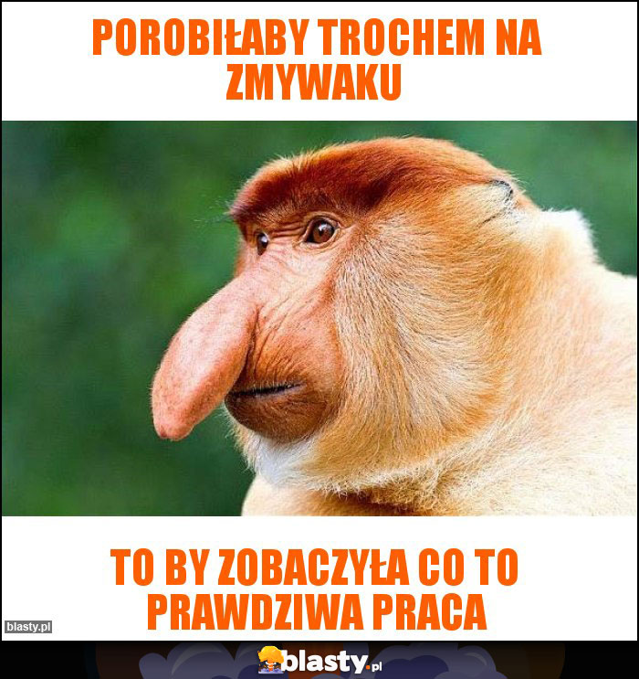 porobiłaby trochem na zmywaku porobiłaby trochem na zmywaku