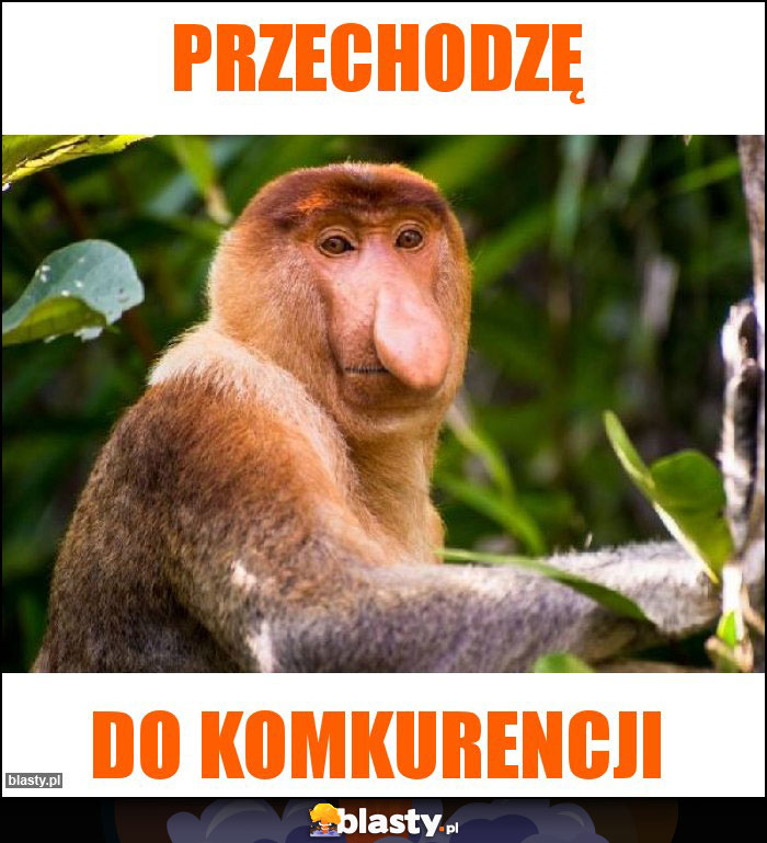 przechodzę przechodzę