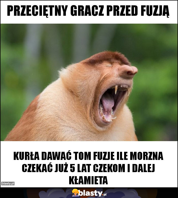 Przeciętny gracz przed fuzją Przeciętny gracz przed fuzją