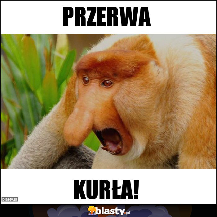 PRZERWA