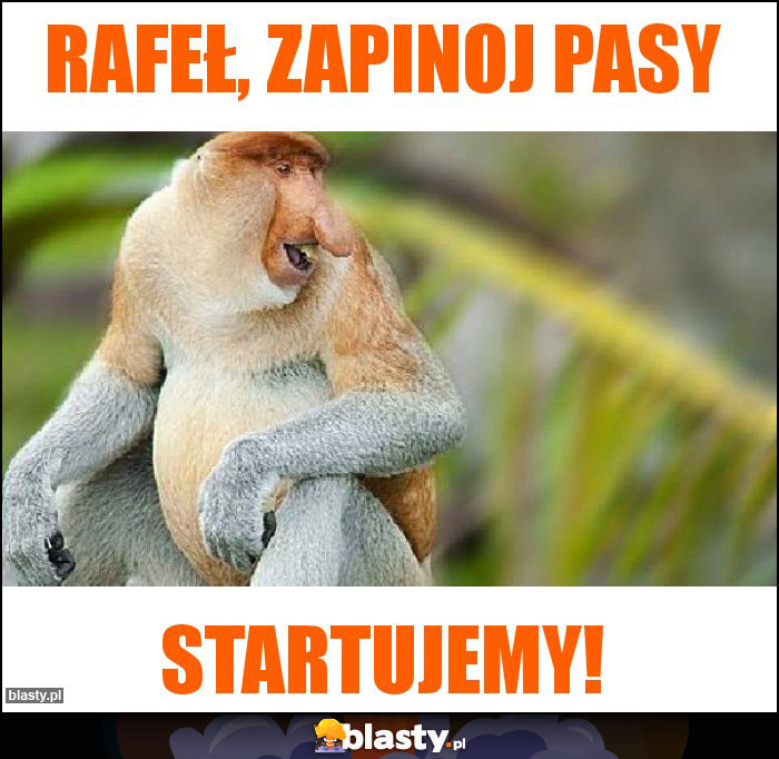Rafeł, zapinoj pasy Rafeł, zapinoj pasy