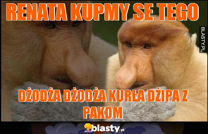Renata kupmy se tego Renata kupmy se tego