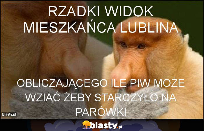 Rzadki widok mieszkańca lublina Rzadki widok mieszkańca lublina