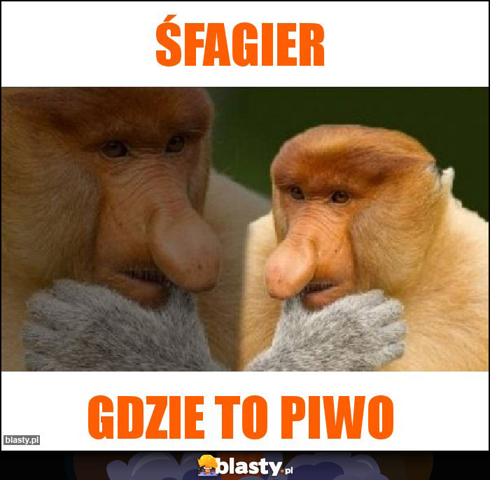 Śfagier