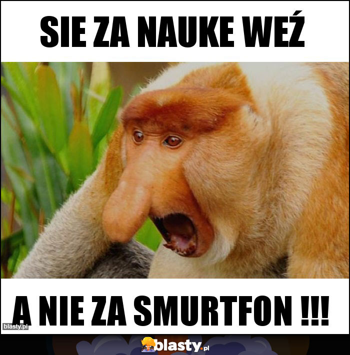 Sie za nauke weź Sie za nauke weź