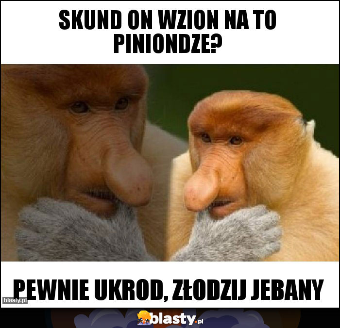 Skund on wzion na to piniondze? Skund on wzion na to piniondze?