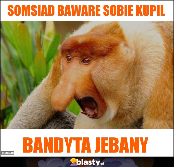 Somsiad baware sobie kupil Somsiad baware sobie kupil