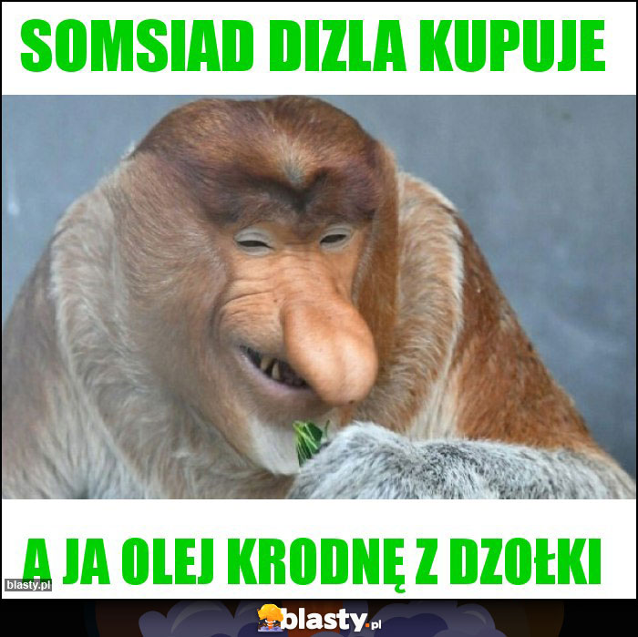Somsiad dizla kupuje Somsiad dizla kupuje