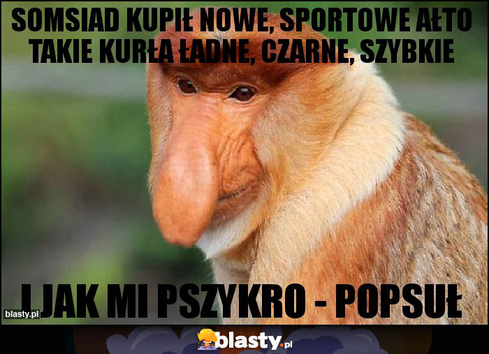 Somsiad kupił nowe, sportowe ałto takie kurła ładne, czarne, szybkie Somsiad kupił nowe, sportowe ałto takie kurła ładne, czarne, szybkie