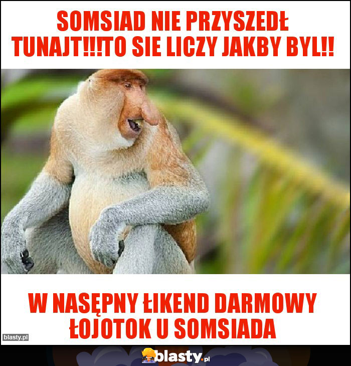 somsiad nie przyszedł tunajt!!!to sie liczy jakby byl!! somsiad nie przyszedł tunajt!!!to sie liczy jakby byl!!