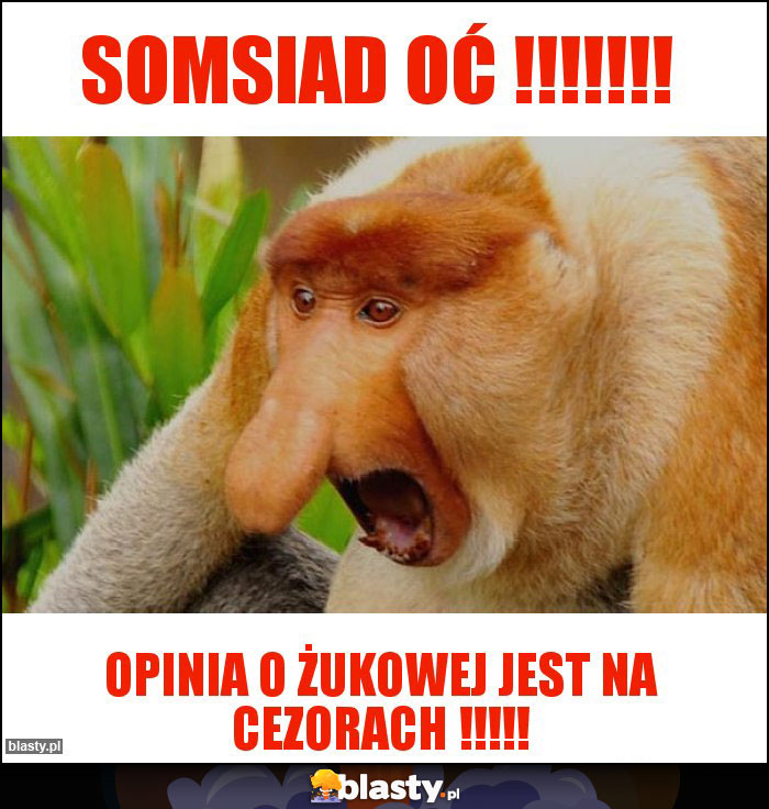 Somsiad oć !!!!!!! Somsiad oć !!!!!!!