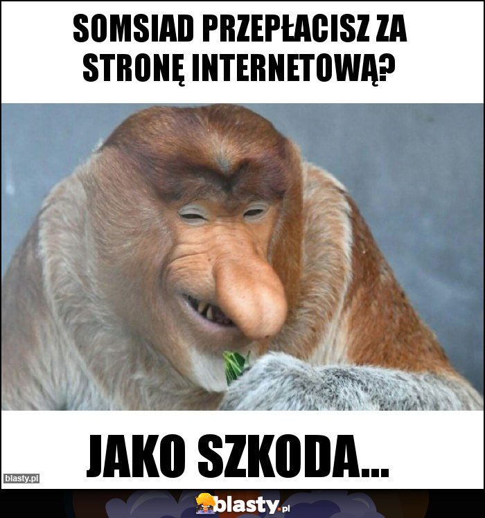 SOMSIAD PRZEPŁACISZ ZA STRONĘ INTERNETOWĄ? SOMSIAD PRZEPŁACISZ ZA STRONĘ INTERNETOWĄ?
