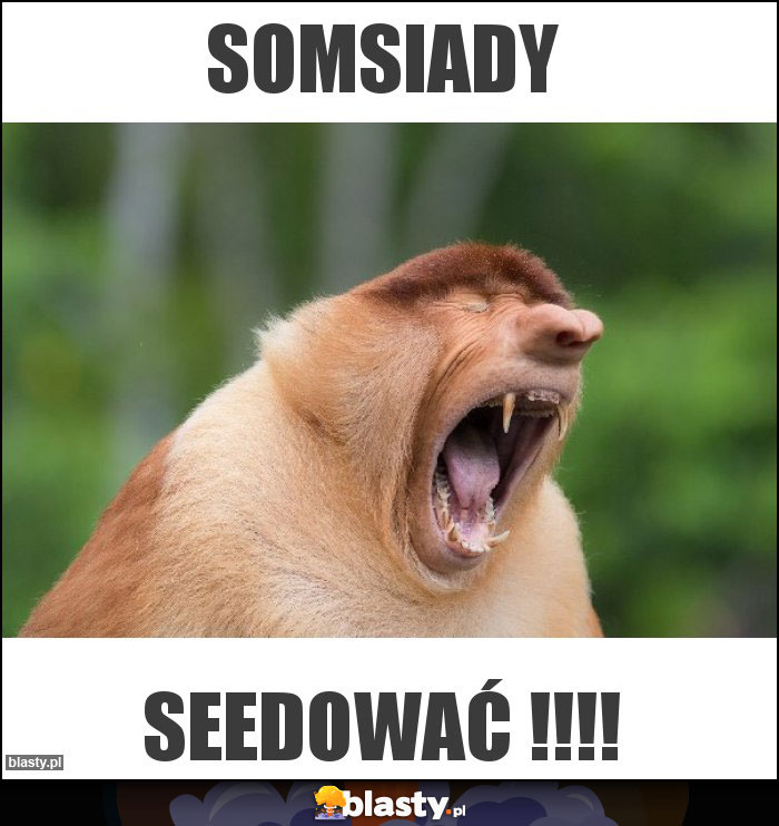 Somsiady