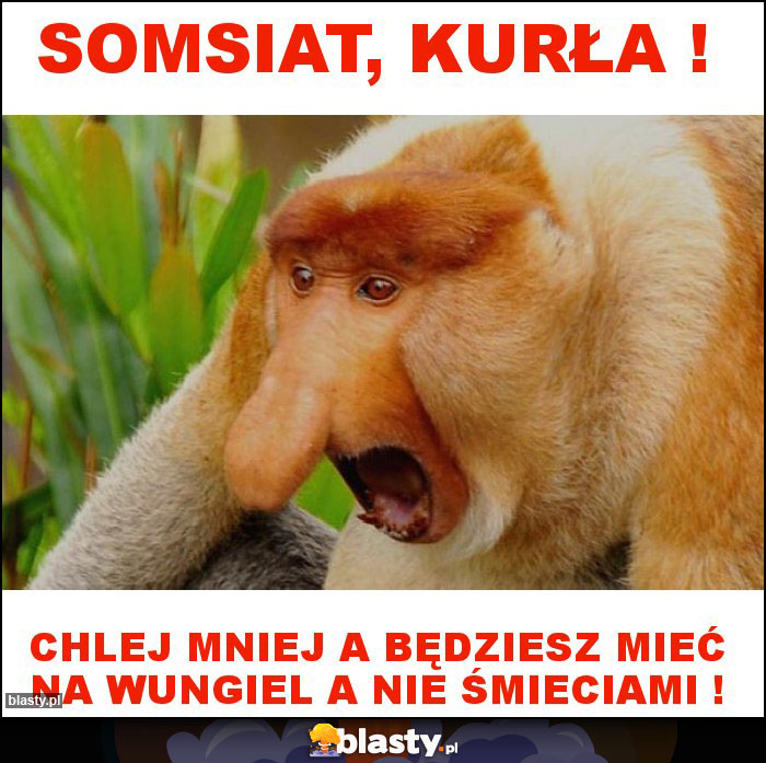 Somsiat, kurŁa ! Somsiat, kurŁa !