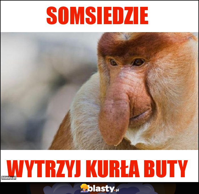 Somsiedzie Somsiedzie