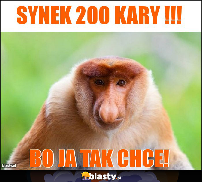 Synek 200 kary !!! Synek 200 kary !!!